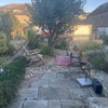 Photo 9: Front Garden