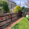 Photo 8: Back Garden