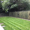 Photo 7: Rear Garden