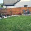 Photo 2: Back garden 