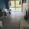 Photo 5: Living room