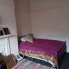 Photo 4: Bedsit room 4 free 1st November