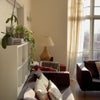 Photo 4: Living room