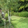 Photo 8: Garden