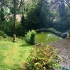 Photo 6: Garden