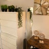 Photo 12: Room 7