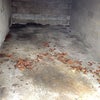 Photo 8: Garage