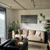 Photo 5: Living room