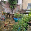 Photo 9: Garden