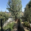 Photo 8: Balcony + Garden