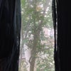 Photo 3: View from window