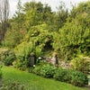 Photo 7: Garden