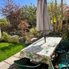 Photo 9: Back garden