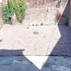 Photo 7: Garden