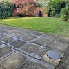 Photo 8: The back garden 