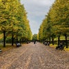 Photo 9: Primrose Hill