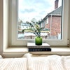 Photo 14: Room 2: Bookings for viewings are now being taken 