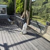 Photo 8: Garden overlooking valley