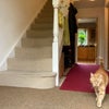 Photo 4: Inside front door