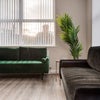 Photo 6: Living Room