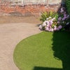 Photo 8: Back Garden