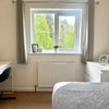 Photo 16: Room 3: this room has plenty of natural light