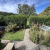 Photo 7: Front Garden