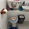 Photo 2: “The bathroom and shower facilities are conveniently located in the same room.”