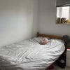 Photo 3: Room 2