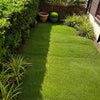Photo 8: Garden