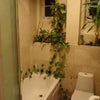 Photo 6: The bathroom