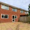 Photo 8:  Spacious back garden