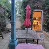 Photo 8: yard and kitchen
