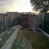 Photo 5: Garden