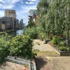 Photo 8: Canal view with walk way