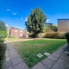 Photo 7: Garden