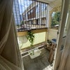 Photo 8: Balcony 
