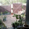 Photo 7: Patio