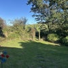 Photo 4: One of the gardens