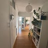 Photo 4: hallway
