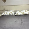 Photo 4: GBP650 PCM room