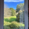 Photo 5: The view of your window