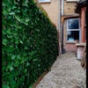 Photo 5: Garden entrance 