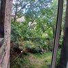 Photo 9: View Room 2