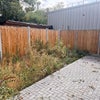 Photo 9: Garden / Patio 