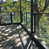 Photo 6: Balcony (it has furniture now)