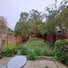 Photo 8: Garden and Patio
