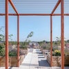 Photo 3: Rooftop