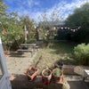 Photo 4: Shared garden, with space around the corner for BBQs