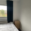 Photo 3: Bedroom view 3